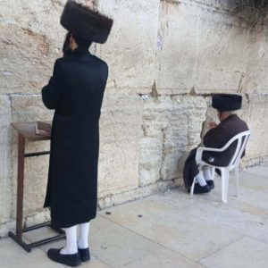 hasidic jews praying at western wall